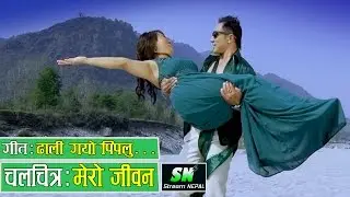 Daligayo Pipalu ढाली गयो पिपलु  from Nepali Movie Mero Jeewan मेरो जिवन