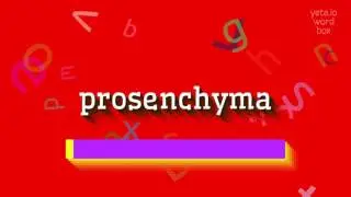 PROSENCHYMA - HOW TO PRONOUNCE PROSENCHYMA?