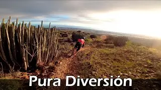 Diversión en estado puro