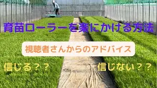 育苗ローラーを楽にかける方法〜視聴者さんを信じる？信じない？〜