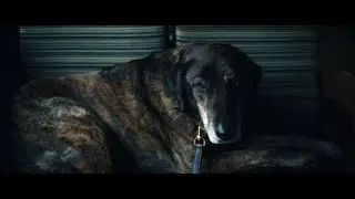 All Radar from Severance Scenes (Irving's Dog)