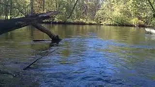 3.5 mile river kayaking
