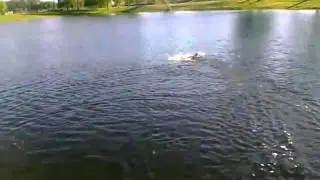 ZZR3 (Small RC Boat)