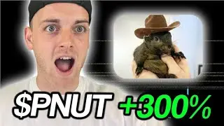 PNUT COIN 100$ SOON | PNUT COIN BIG NEWS IN HINDI