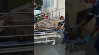 Crpf Ke 5jawano Ko Hospital Mai Admit Kiya Gaya ||Jharkhand(Chaibasa Ied Blast)