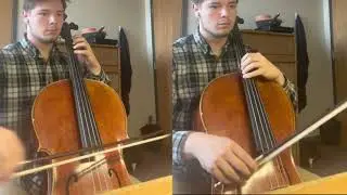 Diary of Jane by Breaking Benjamin Cello Cover