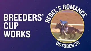 REBEL'S ROMANCE (IRE) Gallops at Del Mar October 30th