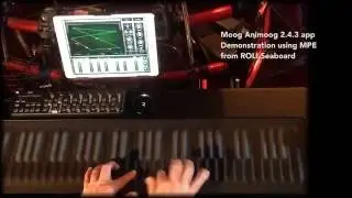 Animoog  Seaboard demo