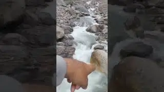 Mandakini River Kedarnath Temple Dham #shiv #shiva #mahadev #kedarnath #harharmahadev #shambhu #om