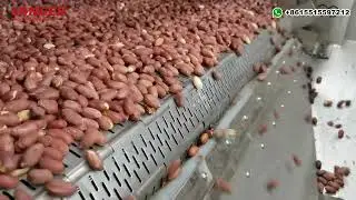 Continuous Peanut Roasting Line,  Almond Cashew Roasting Production Line