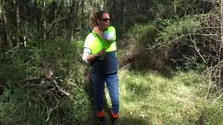 How to keep yourself safe from Ticks in the Australian bush