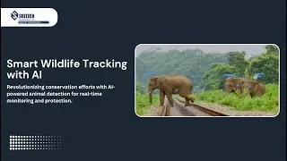 Smart Wildlife Tracking with AI | SOLTECH TechServices Pvt Ltd