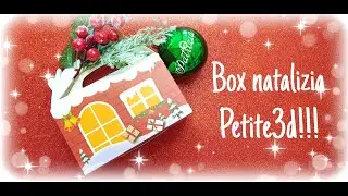 Apriamo insieme la box natalizia di Petite3d!!!