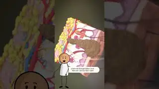 ⚠️ Warum du niemals ein Muttermal selbst entfernen solltest! 😨
