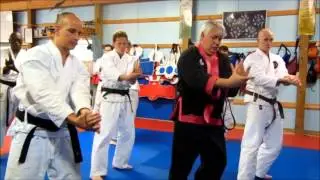 Prepping Your Body for Joint Manipulation with Daniel Pinkowski (Hap Ki Do) 2013 AWA Summer Camp