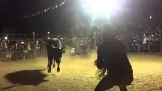 FERIA PALPAN 2016: El Borrador de Mentes de la Original Selecci&oacute;n Palpan