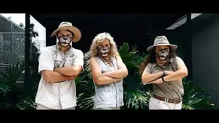 WILDLIFE TOURS IN MIAMI, FLORIDA (LIMITED TIME ONLY!)