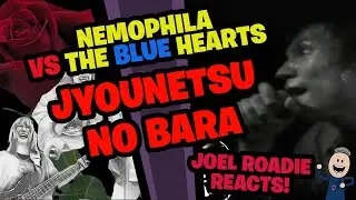 Jyounetsu No Bara | The Blue Hearts VS Nemophila!