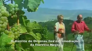 Regi&otilde;es Vin&iacute;colas da Alemanha   Baden