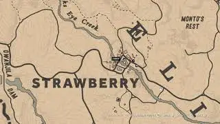 All Coins locations Cycle 6 - RDR2 Online