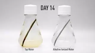 RUST TEST BY ALKALINE IONIZED WATER.