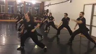 Wubuquan 五步拳 - Chaquan version