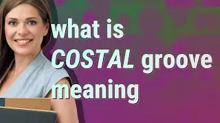 Costal groove | meaning of Costal groove