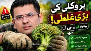 Harvesting Broccoli: Top Mistakes and Essential Tips You Need to Know!