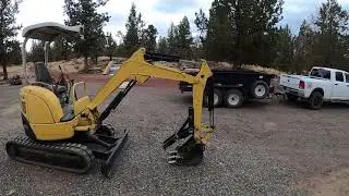 Digging Up Tree Stump/Concrete Prep