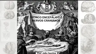 Vídeo aula: Tronco encefálico e nervos cranianos