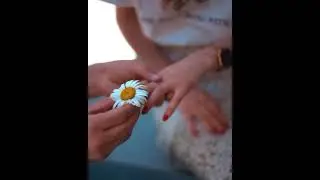 Sounds app - 🌼🤍 sevgi videoları g&ouml;zel videolar #papatya #papatyavideoları #papatyaaşığı