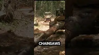 Trees can call the police!