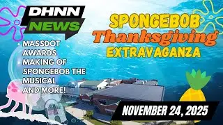 DHNN November 24 2025