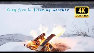Cozy Campfire Sounds by an Icy Lake | Snowfall & Soft Water Ambience