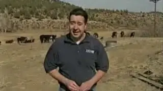 UFO Cattle Mutilation In Colorado Mar 11, 2009 #alien