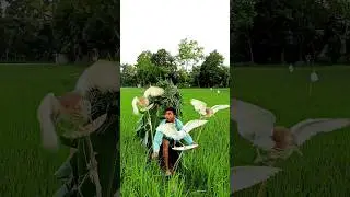 Hunting Indian Bucks in the Dark# new# reles# viral# video#brazil #indonesia #indian #50milion#