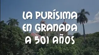 La Purísima en Granada a 501 años
