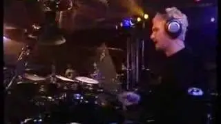 Elegantly Wasted - Amazing -