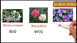 ALL TYPES OF FLOWER NAME 