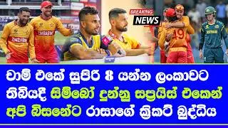 australia vs zimbabwe T20 world cup 2026 highlights report| group B in bi trouble