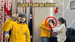 Lizard🦎 || Prank On My Sister || Angry Reaction 😡|| Gone Wrong ❌😱|| Aj Toh Gya