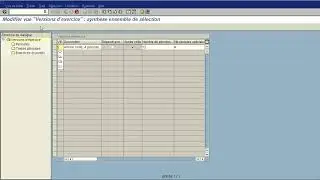 10- Versions d'exercice.  Maintain Fiscal Year Variant : SAP OB29