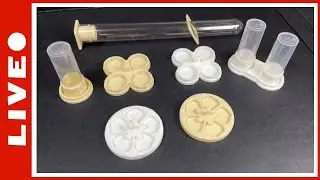 Pr&eacute;sentation de ma boutique d&rsquo;accessoires pour l&rsquo;&eacute;levage de fourmis (+FAQ)[02/02/2025]