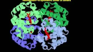 oligomeric proteins
