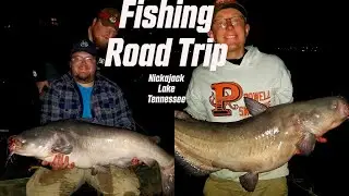 Heavy Current Blue Catfish on the Tennessee River