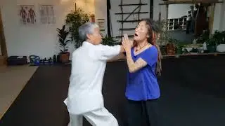 Hand block with head sweep and elbow strike combo 防守扫头加肘击组合