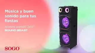 SOUND BEAST | Portable party Speaker 2x12