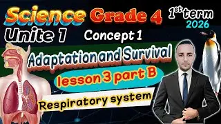 Adaptation and survival | Concept 1 Lesson 3 Respiratory System Part B | Science Grade 4 1st 2026