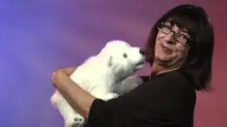 Folkmanis&reg; Polar Bear Cub Puppet Demo