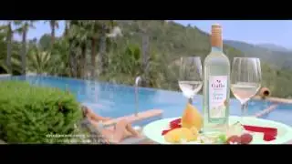 Gallo Family Vineyards, Summer White, Inside Hollywood Campaign 4